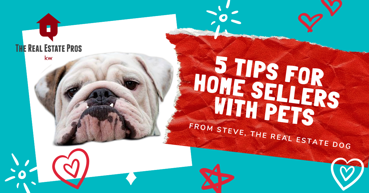 5 Tips for Home Sellers with Pets